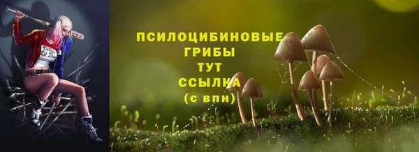 мяу мяу мука Волоколамск