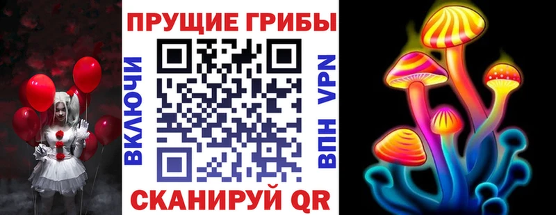 сколько стоит  Шебекино  Галлюциногенные грибы Psilocybe 